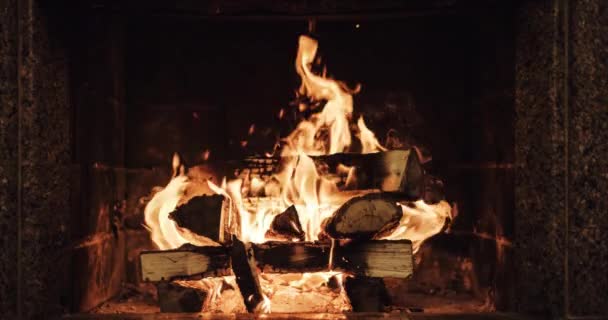 Gezellige brandende vuur — Stockvideo