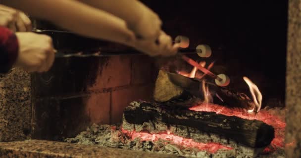 Family roasting marshmallows — Stock Video