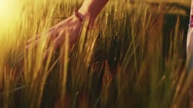 kaçarken buğday alanda el
