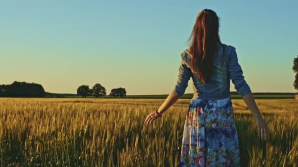 Ragazza che corre sul campo di grano — Video Stock