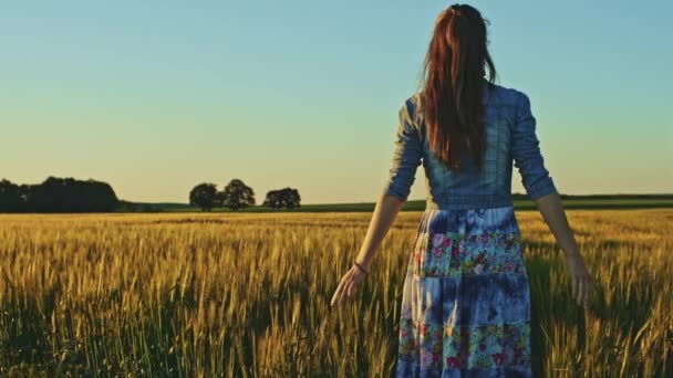 Menina correndo no campo de trigo — Vídeo de Stock