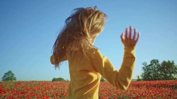 Girl having fun in poppies field — Stock Video