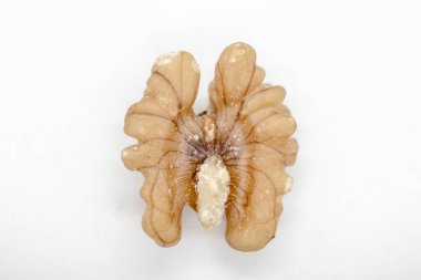 Bir cevizi yakın planda yakalamak.