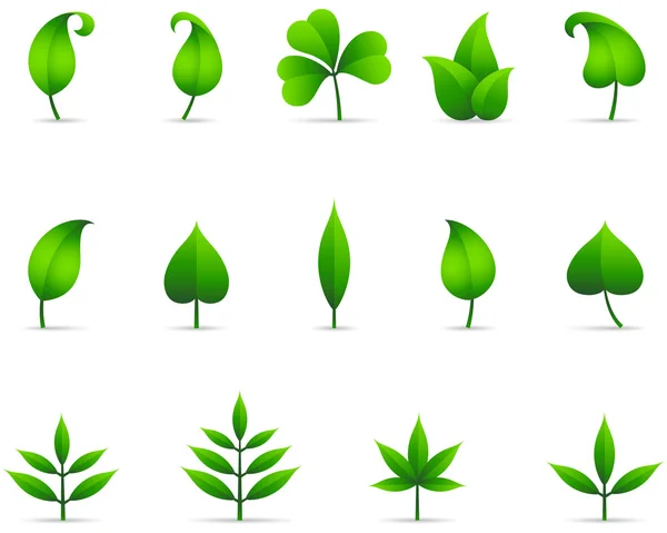Icônes de feuilles Graphismes Vectoriels