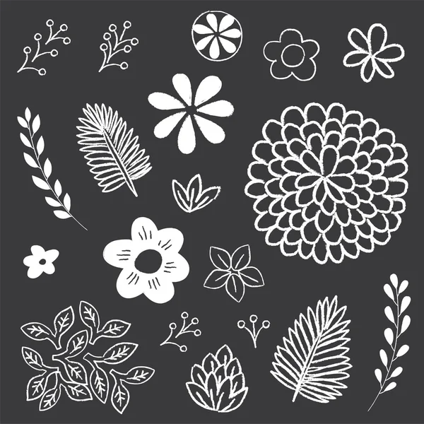 Chalkboard Floral and Leaf Elements Set — Stock Vector