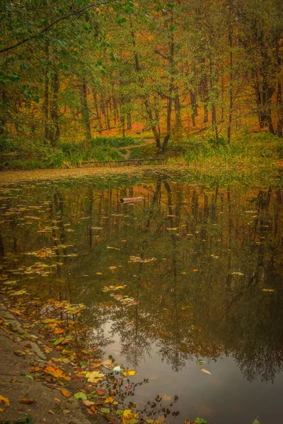 Danau Hutan Musim Gugur Yang Indah Dan Hangat Federasi Rusia — Stok Foto