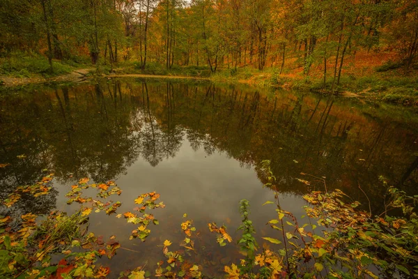 Lac Forestier Dans Bel Automne Chaud Fédération Russie Photo Haute — Photo