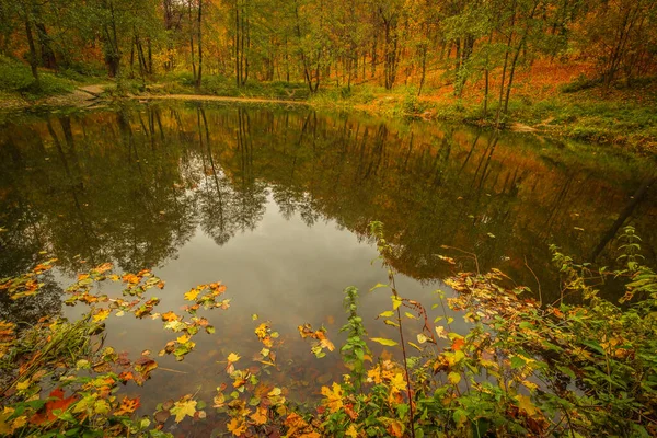 Lac Forestier Dans Bel Automne Chaud Fédération Russie Photo Haute — Photo