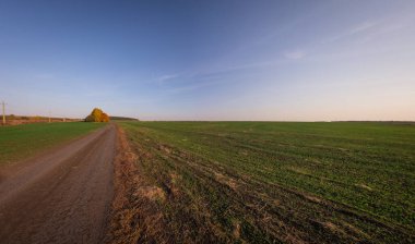 Sonbaharda bir Rus köyünde orman yolunda. Yüksek kalite fotoğraf