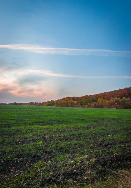 El campo verde y la puesta de sol de un cálido otoño. Federación Rusa —  Fotos de Stock