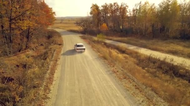 Coche Corre Largo Una Pista Tierra País — Vídeos de Stock