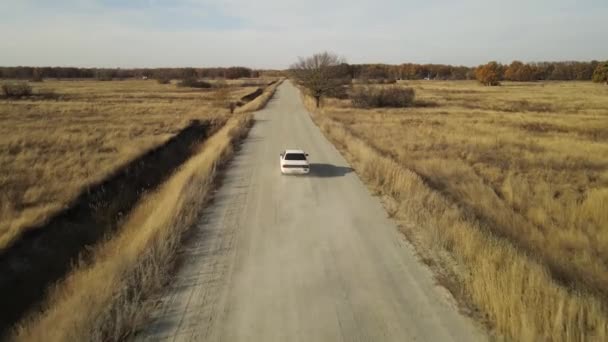 車は田舎の未舗装の道を駆け抜け — ストック動画