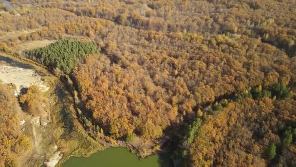 Лесные озёра и карьеры вблизи Пензы в России — стоковое видео