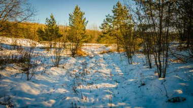 Kış orman manzarası bir kuadrokopterle yapıldı. Yüksek kalite fotoğraf