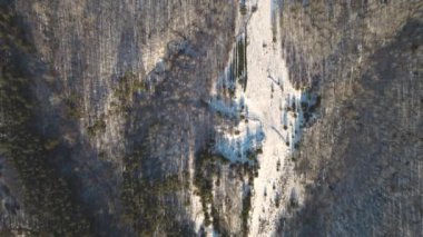 Kırsal kesimdeki kuadrokopterler üzerinde bir kış ormanı üzerinde uçuyorlar. 