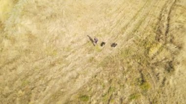 Sibirya Husky cinsinden köpeklerle gezen bir adam. Rusya Federasyonu 'nun