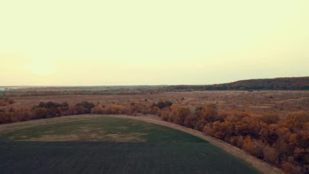 Bos Herfst Natuur Van Russische Federatie — Stockvideo