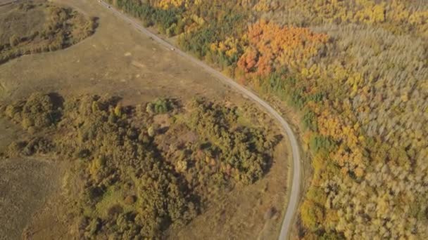 Bos Herfst Natuur Van Russische Federatie — Stockvideo