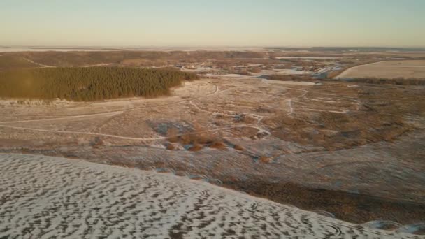 Flying Beautiful Winter Wildlife Russian Outback — Stock Video