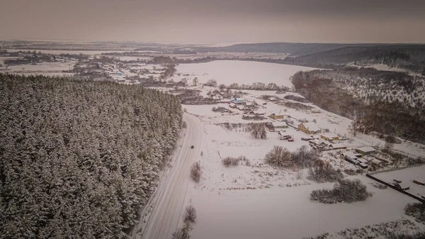Penza bölgesinin kırsal kesiminde kış çamı ormanı — Stok fotoğraf