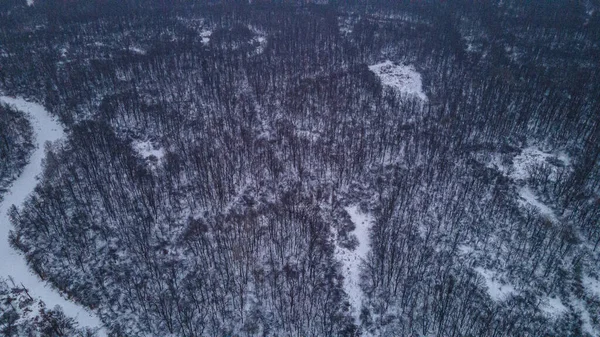 Winter Forest Landscape Made Quadrocopter High Quality Photo — Stock Photo, Image