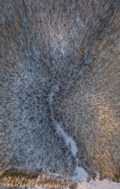 Rus kırsalındaki güzel kış yaban hayatının üzerinde uçuyorlar. Yüksek kalite fotoğraf