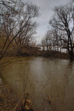 Rus kırsalında bahar nehri. Yüksek kalite fotoğraf