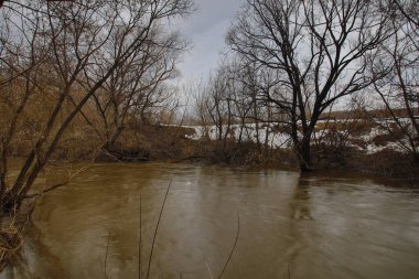 Rus kırsalında bahar nehri. Yüksek kalite fotoğraf