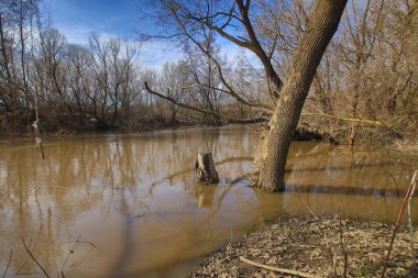 Rus kırsalında bahar nehri. Yüksek kalite fotoğraf