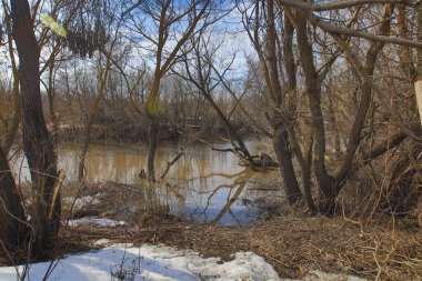Rus kırsalında bahar nehri. Yüksek kalite fotoğraf