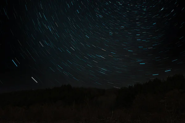 Yıldızlı Gökyüzünün Arka Planındaki Gece Ormanı Yüksek Kalite Fotoğraf — Stok fotoğraf