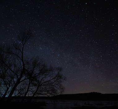 Rusya Federasyonu 'nda bahar gecesi yıldız manzarası. Yüksek kalite fotoğraf