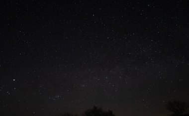 Rusya Federasyonu 'nda bahar gecesi yıldız manzarası. Yüksek kalite fotoğraf