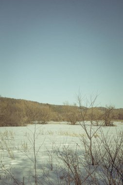 Penza bölgesinin kışın kırsal kesiminin fotoğrafları. Yüksek kalite fotoğraf