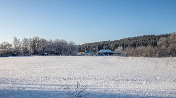Fotografi Penza Regionen Landsbygdsområdet Vintern Högkvalitativt Foto — Stockfoto