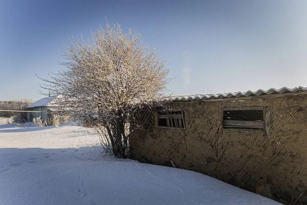 Fotografi Penza Regionen Landsbygdsområdet Vintern Högkvalitativt Foto — Stockfoto