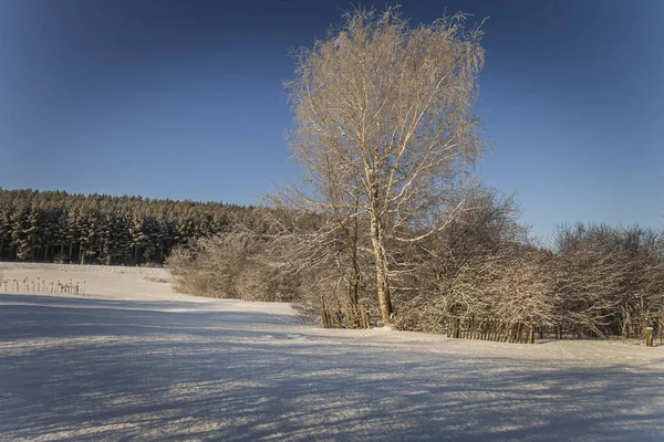 Fotografia Região Penza Área Rural Inverno Foto Alta Qualidade — Fotografia de Stock