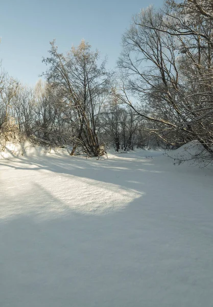 Fotografia Região Penza Área Rural Inverno Foto Alta Qualidade — Fotografia de Stock