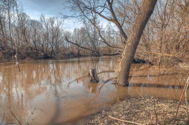 Rus köyünde nehir manzarası var. Yüksek kalite fotoğraf