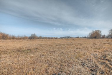 Kar yabanda ilkbaharı eritti. Yüksek kalite fotoğraf