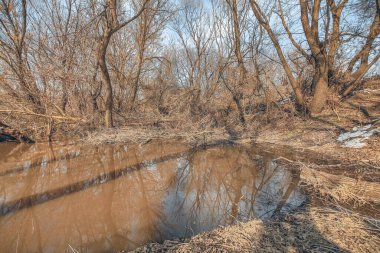 Rus köyünde nehir manzarası var. Yüksek kalite fotoğraf