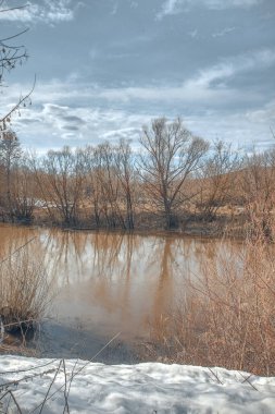 Rus köyünde nehir manzarası var. Yüksek kalite fotoğraf