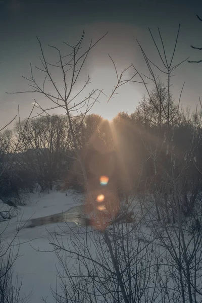 Inverno Paisagem Ensolarada Federação Russa Foto Alta Qualidade — Fotografia de Stock