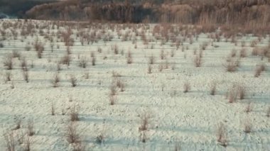 Rusya Federasyonu 'nun Penza bölgesinin kış mevsiminde uçuşu.
