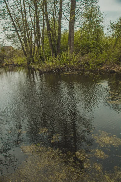 Природа Росії Весняна Річка Фотографія Високої Якості — стокове фото