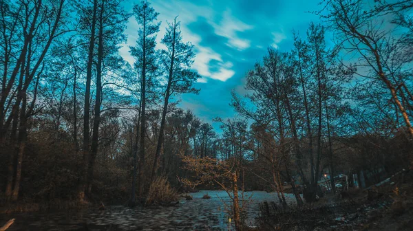 Rusya Nın Bahar Nehri Doğası Gece Manzarası — Stok fotoğraf