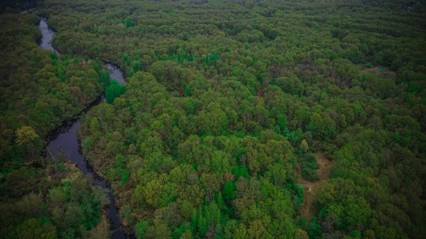 Пейзаж Дикої Природи Лісовій Зоні Аерофотознімки Лісова Річка — стокове фото