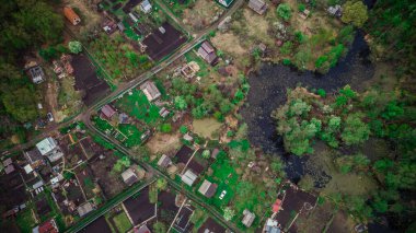 Ormanın kırsal kesiminde vahşi doğa manzarası