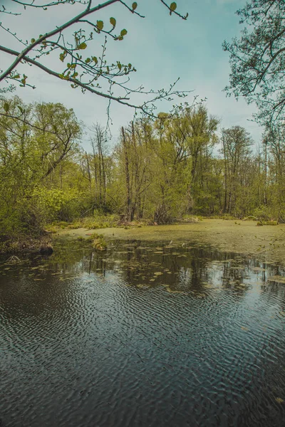 Природа Росії Весняна Річка Фотографія Високої Якості — стокове фото