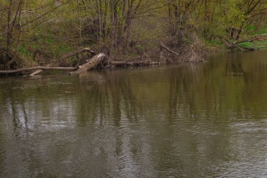 Rusya 'nın bahar nehri doğası. Yüksek kalite fotoğraf